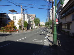 �����񍐎ʐ^