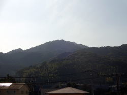 �����񍐎ʐ^