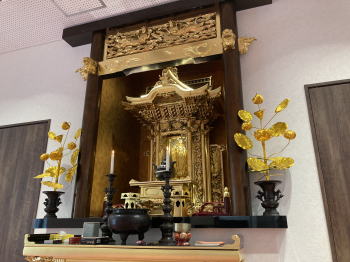 �����񍐎ʐ^