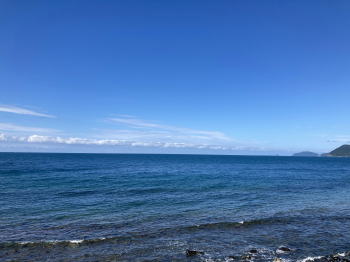 �����񍐎ʐ^