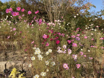 �����񍐎ʐ^