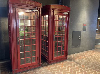 �����񍐎ʐ^