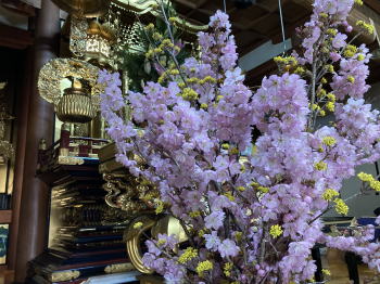 �����񍐎ʐ^