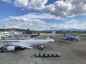 �����񍐎ʐ^