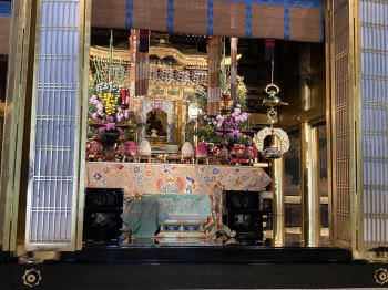 �����񍐎ʐ^