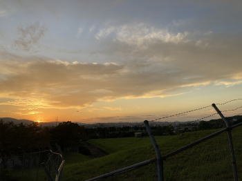 �����񍐎ʐ^