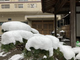 �����񍐎ʐ^