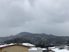 �����񍐎ʐ^